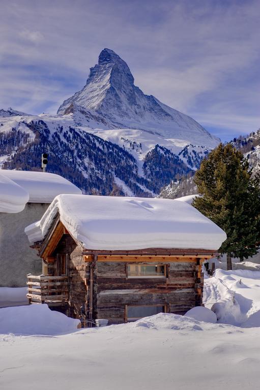 Chalet Alpoase Zermatt Værelse billede